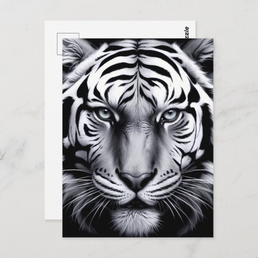 Schwarzweißtiger (Update) Postkarte (Vorne/Hinten)