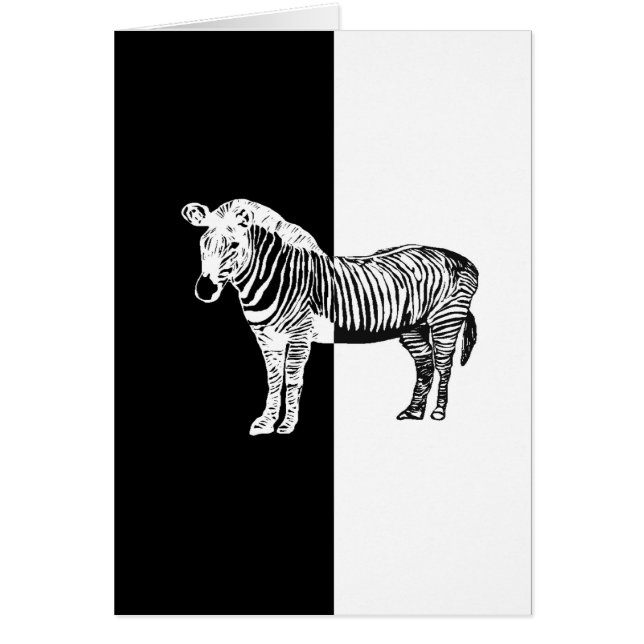 Schwarzweißzebra (Vorne)