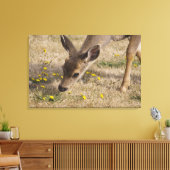 Schwarzwild (Odocoileus hemionus) Leinwanddruck (Insitu (Wohnzimmer))