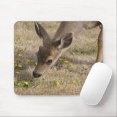 Schwarzwild (Odocoileus hemionus) Mousepad (Mit Mouse)