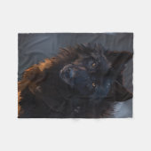 Schwarzwolf Fleecedecke (Vorderseite (Horizontal))