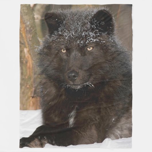 SCHWARZWOLF FLEECEDECKE (Vorderseite)