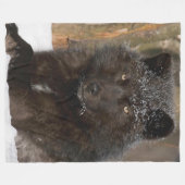 SCHWARZWOLF FLEECEDECKE (Vorderseite (Horizontal))