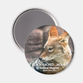 Schwarzwurgel Magnet (Vorderseite/Rückseite)