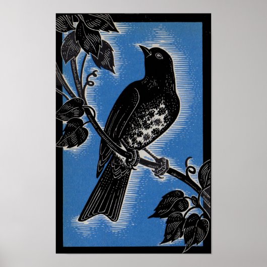 Schwarzwurzel mit Blau Poster (Vorne)
