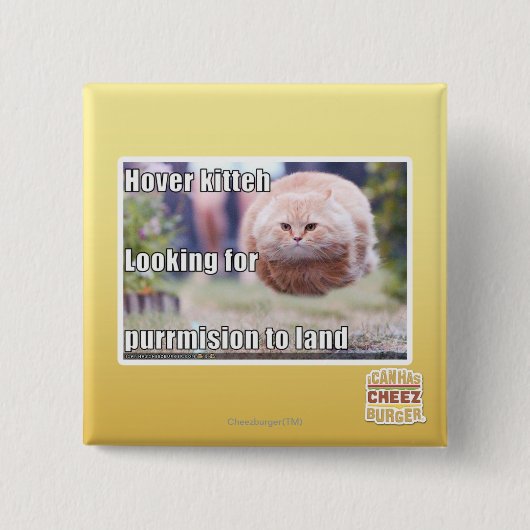Schwebeflug kitteh button (Vorderseite)