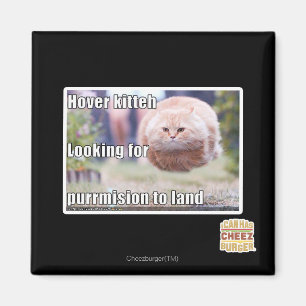 Schwebeflug kitteh magnet