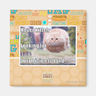 Schwebeflug kitteh magnet