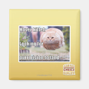 Schwebeflug kitteh magnet