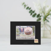 Schwebeflug kitteh postkarte (Stehend Vorderseite)