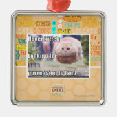 Schwebeflug kitteh silbernes ornament (Vorne)