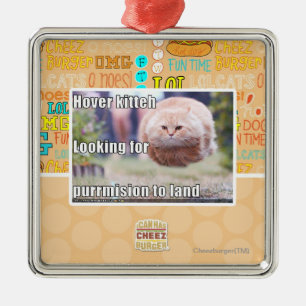 Schwebeflug kitteh silbernes ornament