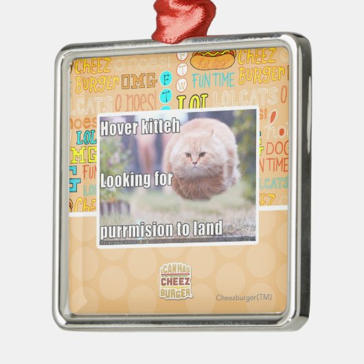 Schwebeflug kitteh silbernes ornament (Links)