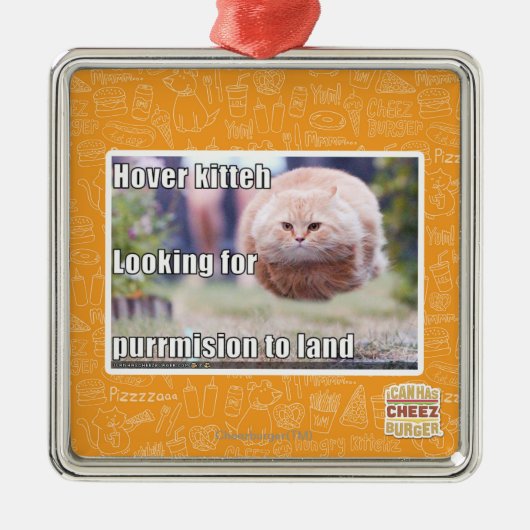 Schwebeflug kitteh silbernes ornament (Vorne)