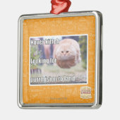 Schwebeflug kitteh silbernes ornament (Links)