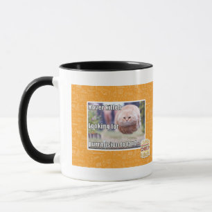 Schwebeflug kitteh tasse