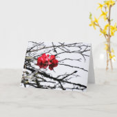 schwebend rot karte (Gelbe Blume)