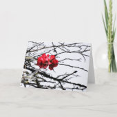 schwebend rot karte (Vorderseite)