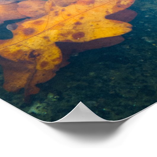 Schwebende Herbstblätter Poster (Ecke)