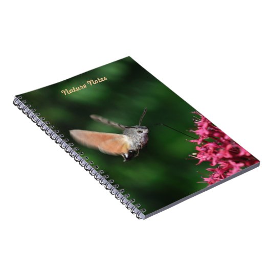 Schwebende Kolibri Falkemotte Notizblock (Rechte Seite)