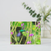 Schwebende Kolibri-Unschärfe Postkarte (Stehend Vorderseite)