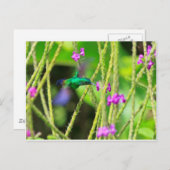 Schwebende Kolibri-Unschärfe Postkarte (Vorne/Hinten)
