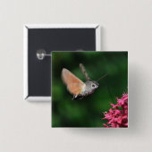 Schwebende Kolibrimotte Button (Vorne & Hinten)