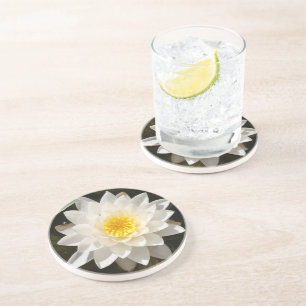 Schwebende Weiße Wasserlilie Lotus  Getränkeuntersetzer