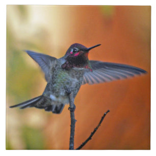 Schwebender Kolibri Fliese