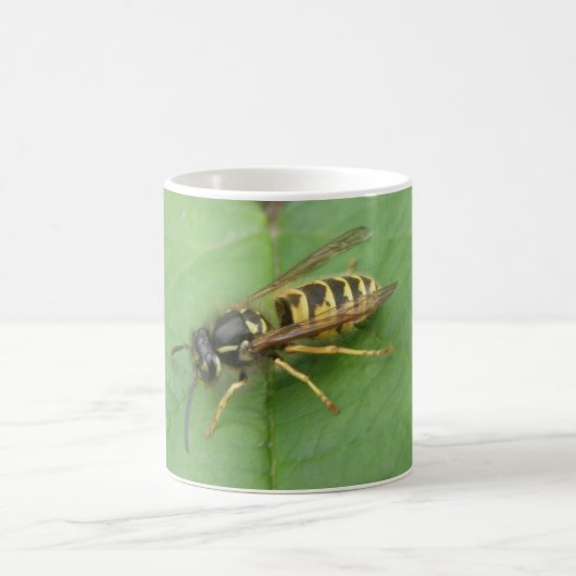 Schwebfliege auf einer Blatt-Tasse Kaffeetasse (Mittel)