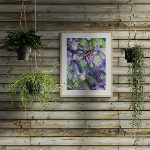 Schwebfliege auf lila Eryngium-Distelblüte Fotodruck