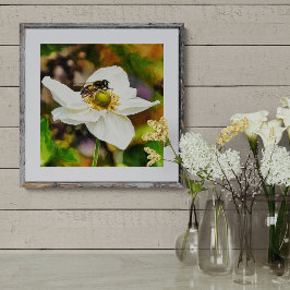 Schwebfliege auf weißer Anemonenblüte - Bestäubung Fotodruck