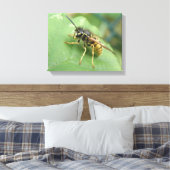 Schwebfliege Makro Leinwanddruck (Insitu (Schlafzimmer))