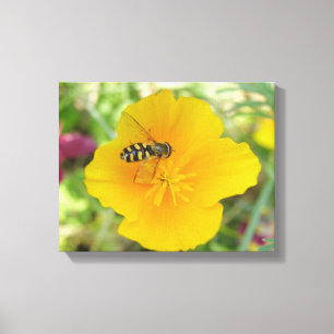 Schwebfliege und Kalifornischer Klatschmohn-Leinwa Leinwanddruck