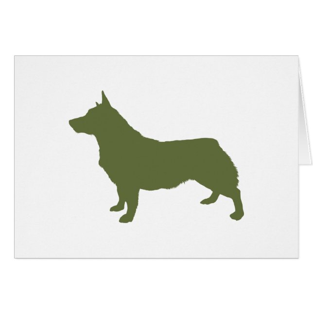 Schwede Vallhund (Vorderseite (Horizontal))