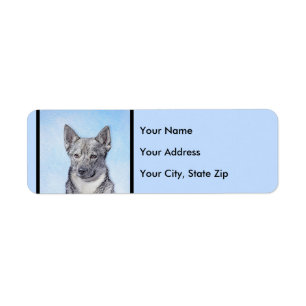 Schwede Vallhund Malerei - niedliche ursprüngliche