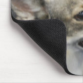 Schwede Vallhund Mausunterlage Mousepad (Ecke)