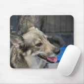 Schwede Vallhund Mausunterlage Mousepad (Mit Mouse)