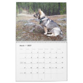 Schwede Vallhund, Vastgotaspets, Callendar 2018 Kalender (Mär 2027)