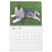 Schwede Vallhund, Vastgotaspets, Callendar 2018 Kalender (Feb 2026)