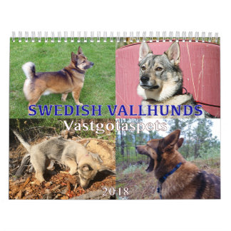 Schwede Vallhund, Vastgotaspets, Callendar 2018 Kalender