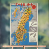 Schweden Karte Acrylschild (Neutral)