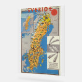 Schweden Karte Acrylschild (Winkel)