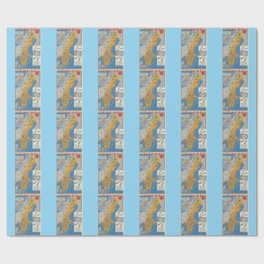 Schweden Karte Geschenkpapier (Flach)