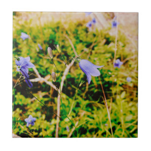 Schwedisch Bluebell Fliese
