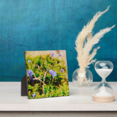 Schwedisch Bluebell Fotoplatte (InSitu)