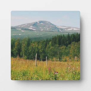 Schwedische Bergwelt Fotoplatte