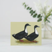 Schwedische Enten Black Postkarte (Stehend Vorderseite)