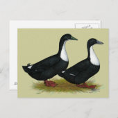 Schwedische Enten Black Postkarte (Vorne/Hinten)