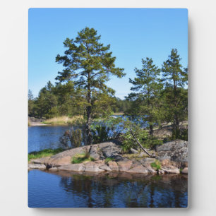 Schwedische Landkarte Fotoplatte